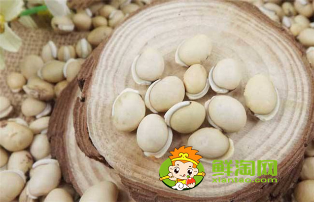 哪里出產的白扁豆最好，白扁豆怎么吃才祛濕