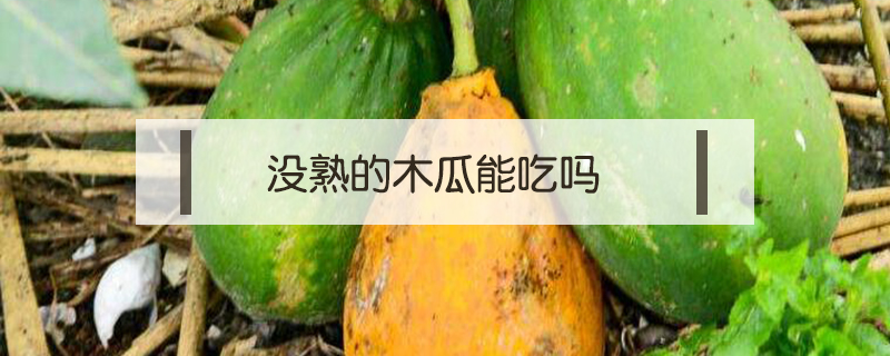 沒熟的木瓜能吃嗎