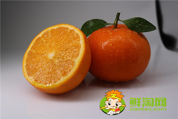 目前常見的柑橘品種有那些，最受歡迎的柑橘品種是什么