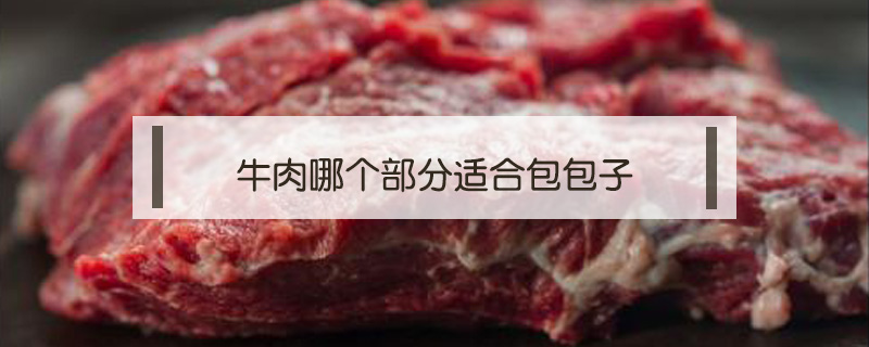 牛肉哪個部分適合包包子