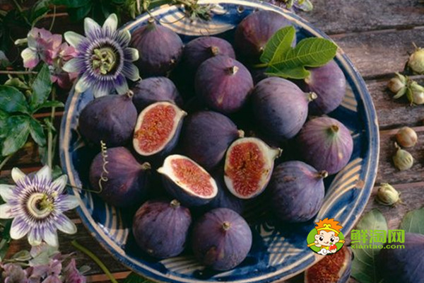 無花果對子宮好嗎,女人吃無花果的好處