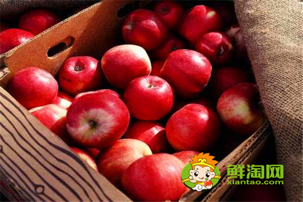 吃蘋果多久可以美白,每天什么時候吃蘋果美容
