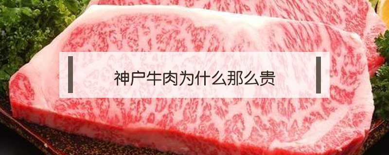 神戶牛肉為什么那么貴