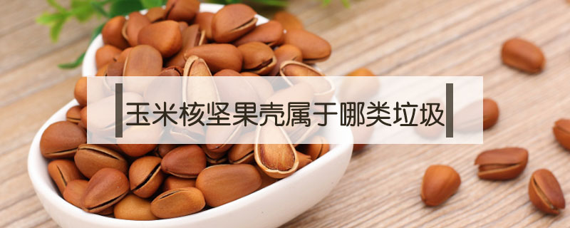 玉米核堅果殼屬于哪類垃圾