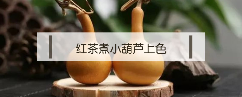 紅茶煮小葫蘆上色