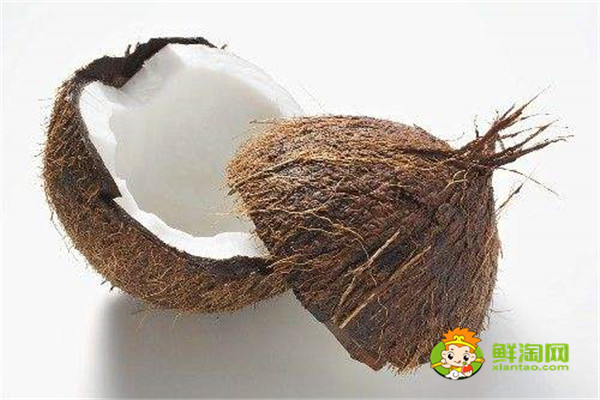 椰子屬于水果還是堅果，椰子屬于核果類水果