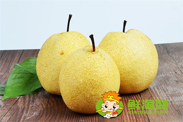 梨湯怎么做能潤肺止咳，梨子怎么挑選