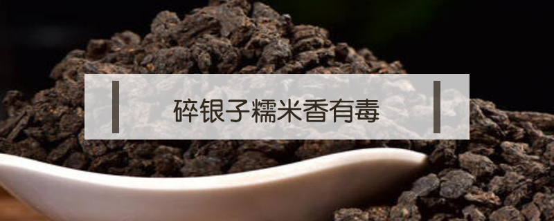 碎銀子糯米香有毒