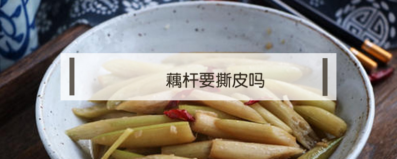 藕桿要撕皮嗎