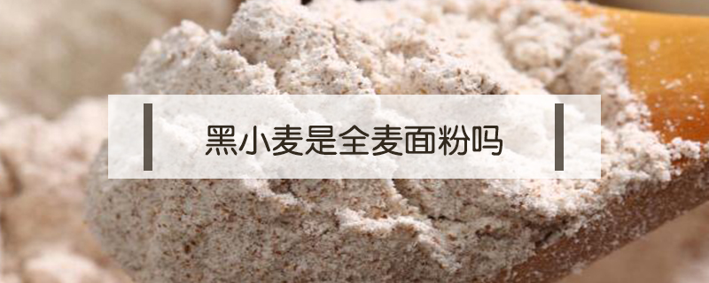黑小麥是全麥面粉嗎