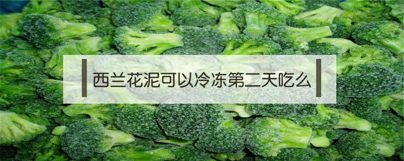 西蘭花泥可以冷凍第二天吃么