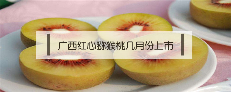 廣西紅心獼猴桃幾月份上市