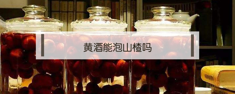 黃酒能泡山楂嗎