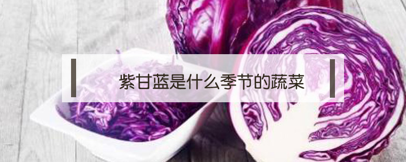 紫甘藍是什么季節的蔬菜