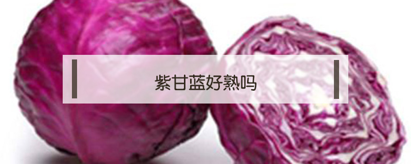 紫甘藍好熟嗎