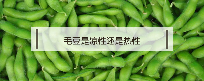 毛豆是涼性還是熱性