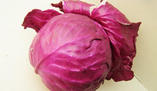 紫甘藍每天都吃可以嗎?