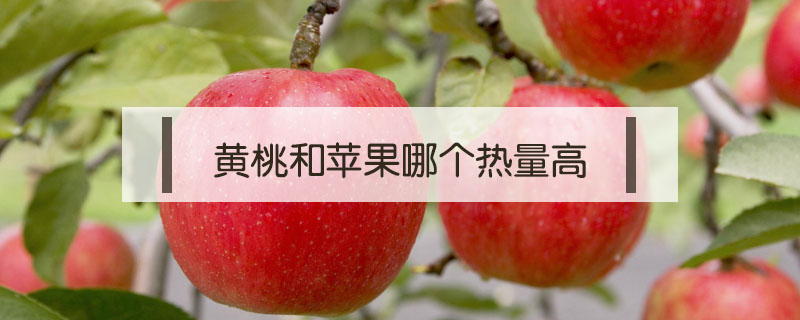 黃桃和蘋果哪個熱量高