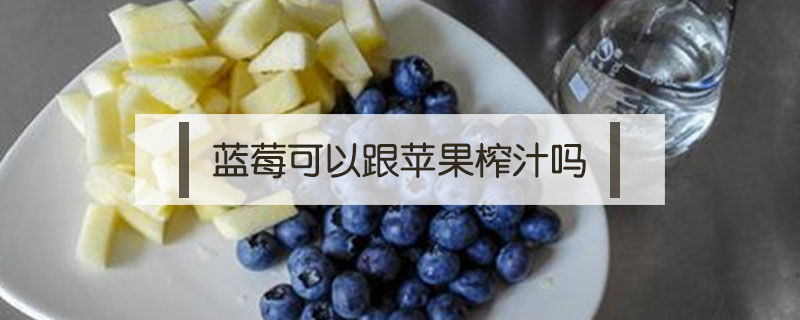 藍莓可以跟蘋果榨汁嗎