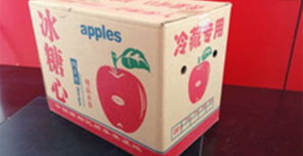 壞了的蘋果能吃嗎
