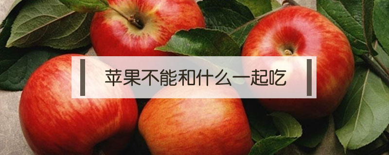 蘋果不能和什么一起吃