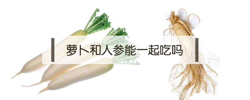 蘿卜和人參能一起吃嗎