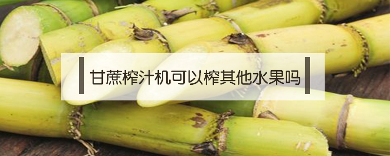 甘蔗榨汁機(jī)可以榨其他水果嗎