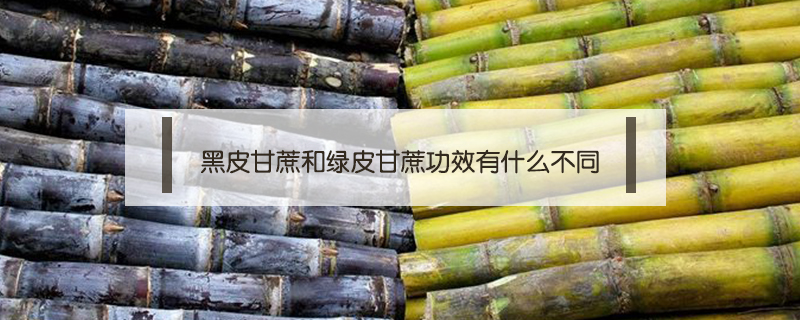 黑皮甘蔗和綠皮甘蔗功效有什么不同