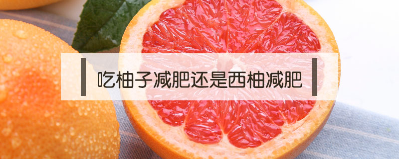 吃柚子減肥還是西柚減肥