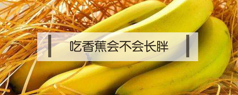 吃香蕉會不會長胖