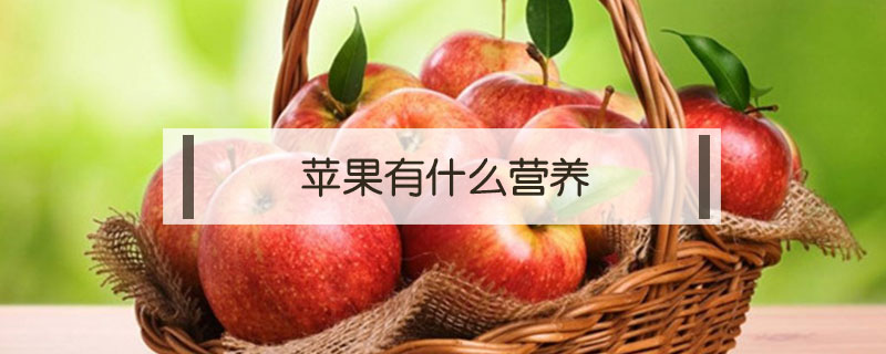 蘋果有什么營養