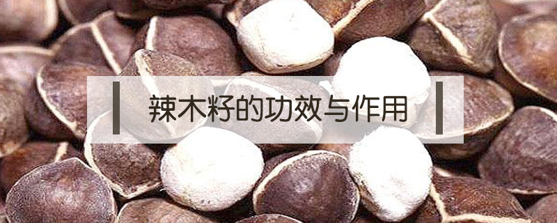 辣木籽的功效與作用