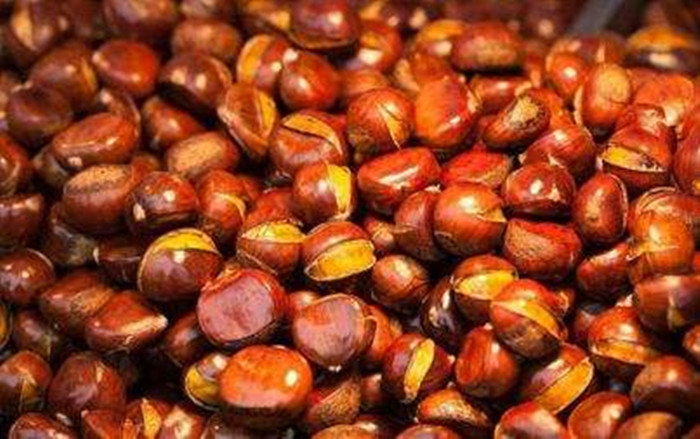 糖炒栗子熱量高嗎