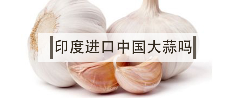 印度進口中國大蒜嗎