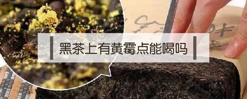 黑茶上有黃霉點(diǎn)能喝嗎