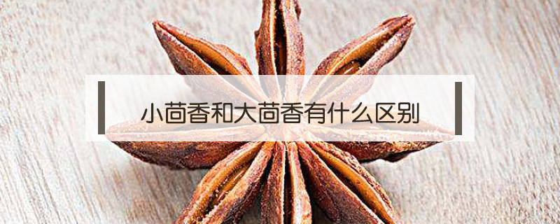 小茴香和大茴香有什么區別
