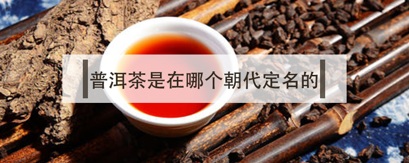 普洱茶是在哪個朝代定名的