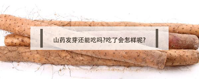 山藥發芽還能吃嗎?吃了會怎樣呢?