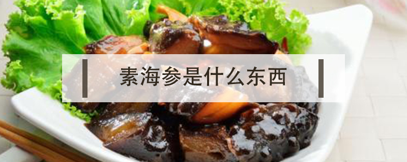 素海參是什么東西