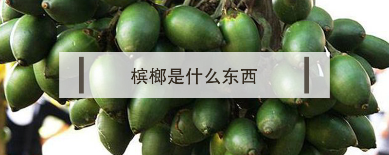 檳榔是什么東西