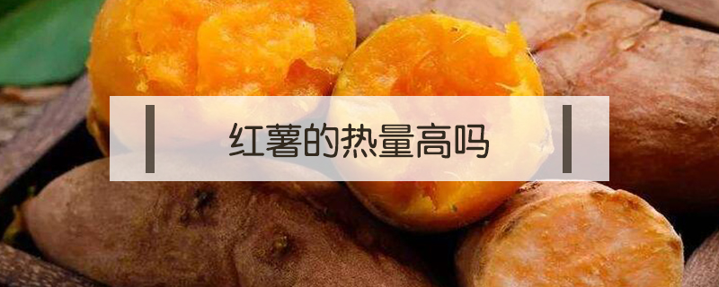 紅薯的熱量高嗎