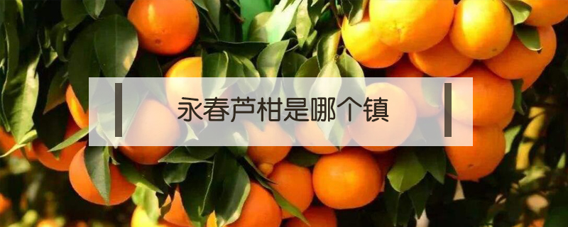 永春蘆柑是哪個鎮(zhèn)