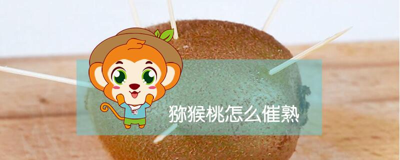 獼猴桃怎么催熟