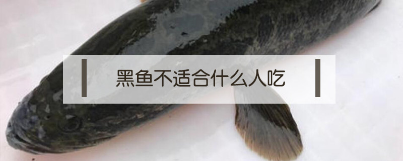 黑魚不適合什么人吃