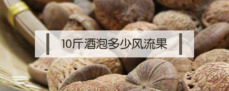10斤酒泡多少風(fēng)流果