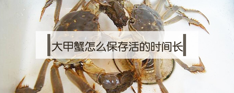 大甲蟹怎么保存活的時(shí)間長(zhǎng)