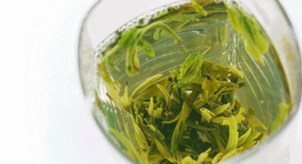 黃山毛峰屬于什么茶