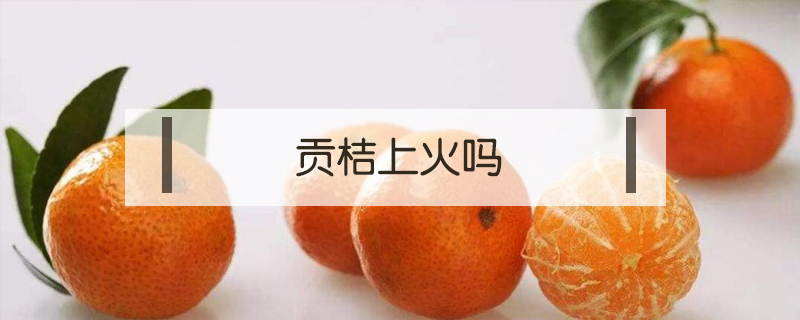 貢桔上火嗎