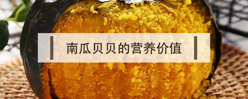 南瓜貝貝的營養(yǎng)價(jià)值