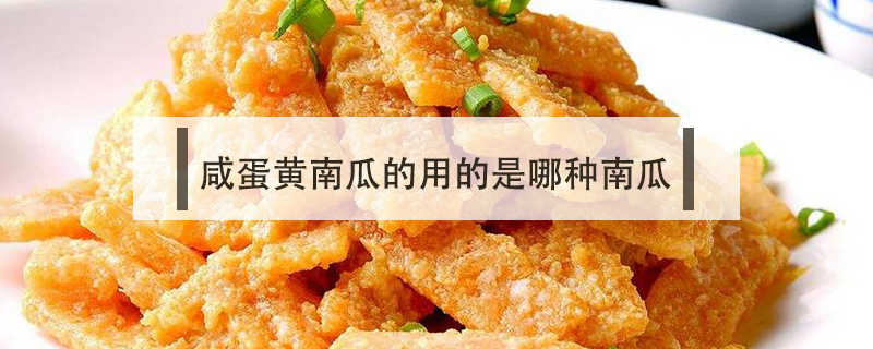 咸蛋黃南瓜的用的是哪種南瓜